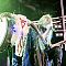 Arkona